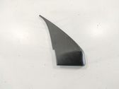 Other front door trim element