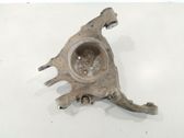 Rear upper control arm/wishbone
