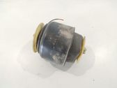 Rear air suspension bag/shock absorber