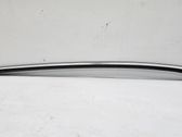 Rear side glass trim