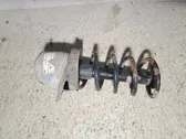 Rear shock absorber with coil spring