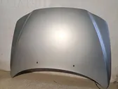 Engine bonnet/hood