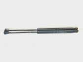 Tailgate/trunk strut/damper