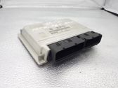 Engine control unit/module ECU