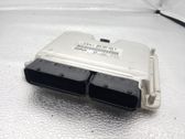 Engine control unit/module ECU
