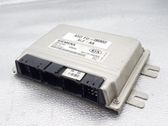 Engine control unit/module ECU