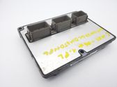 Engine control unit/module ECU