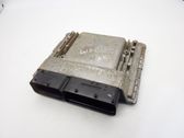 Engine control unit/module ECU