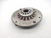 Coil spring mount