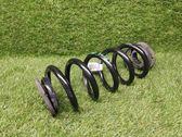 Rear coil spring