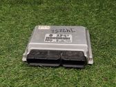 Engine control unit/module ECU