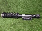 Rear shock absorber/damper