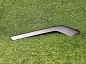 Other front door trim element