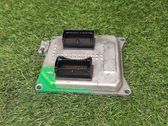 Engine control unit/module ECU