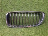 Front grill