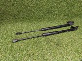 Tailgate/trunk strut/damper