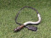 Lambda probe sensor