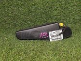 Seat airbag