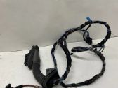 Front door wiring loom