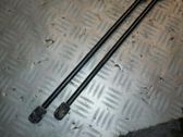 Tailgate/trunk strut/damper