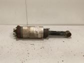 Front shock absorber with coil spring
