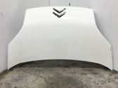 Motorhaube