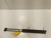 Tailgate/trunk strut/damper