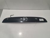 Trunk door license plate light bar