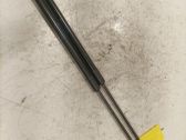 Tailgate/trunk strut/damper