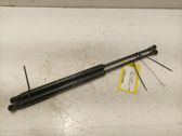 Tailgate/trunk strut/damper