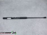 Tailgate/trunk strut/damper