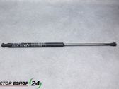 Tailgate/trunk strut/damper