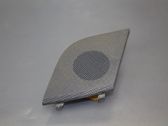 Panel speaker