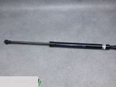 Tailgate/trunk strut/damper