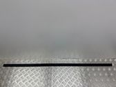Front door trim (molding)