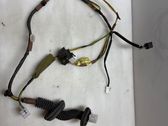 Rear door wiring loom