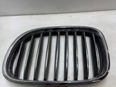 Front grill