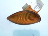Front fender indicator light