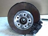 Rear wheel hub
