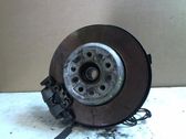 Rear wheel hub