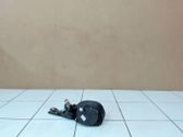 Cinturón trasero