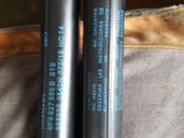 Tailgate/trunk strut/damper
