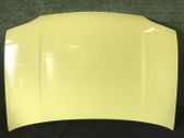 Motorhaube