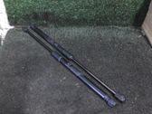 Tailgate/trunk strut/damper