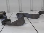 Cinturón trasero