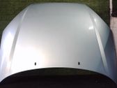 Engine bonnet/hood