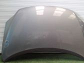 Motorhaube