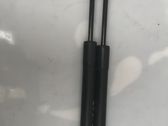 Tailgate/trunk strut/damper