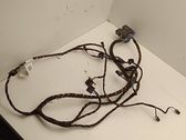 Other wiring loom