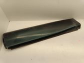 Rear door trim (molding)